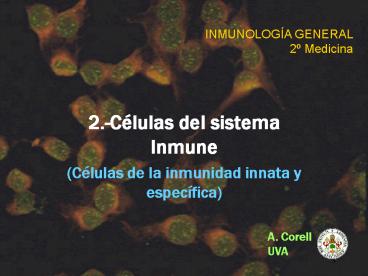 2'Clulas del sistema Inmune