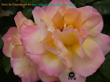 Simbolo de los Sueos