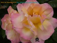 Simbolo de los Sueos