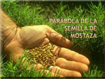 PARBOLA DE LA SEMILLA DE MOSTAZA