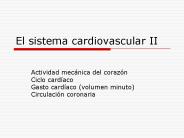 El sistema cardiovascular II