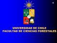 UNIVERSIDAD DE CHILE FACULTAD DE CIENCIAS FORESTALES PowerPoint PPT Presentation