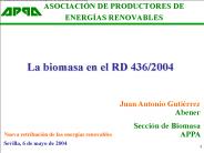 La biomasa en el RD 436/2004