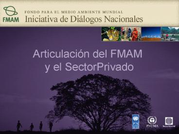 FONDO PARA EL MEDIO AMBIENTE MUNDIAL Iniciativa de Dilogos Nacionales
