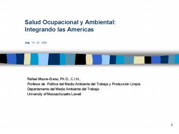 Salud Ocupacional y Ambiental: Integrando las Americas July 19 25, 2004