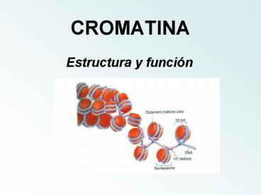 CROMATINA