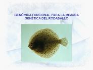 Diapositiva 1