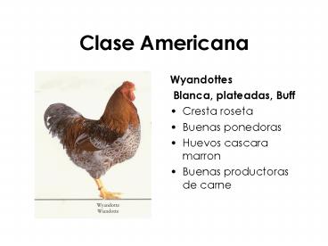 Clase Americana