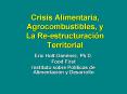 Crisis Alimentaria, Agrocombustibles, y La Reestructuracin Territorial PowerPoint PPT Presentation