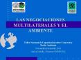 LAS NEGOCIACIONES MULTILATERALES Y EL AMBIENTE PowerPoint PPT Presentation