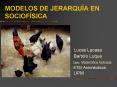 MODELOS DE JERARQUA EN SOCIOFSICA PowerPoint PPT Presentation