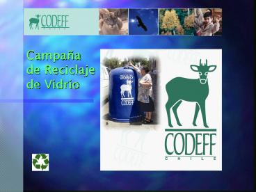 Campaa de Reciclaje de Vidrio
