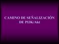 CAMINO DE SEALIZACIN DE PI3KAkt PowerPoint PPT Presentation