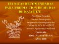 TECNICAS RECOMENDADAS PARA PRODUCCION DE MUDAS DE KAA HEE PowerPoint PPT Presentation