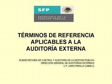 TRMINOS DE REFERENCIA APLICABLES A LA AUDITORA EXTERNA
