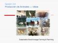 Sesin 34 Produccin de Animales Ideas PowerPoint PPT Presentation