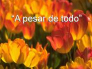 A pesar de todo