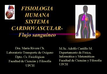 FISIOLOGIA HUMANA SISTEMA CARDIOVASCULARFlujo sanguneo