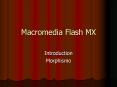 Macromedia Flash MX PowerPoint PPT Presentation