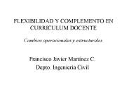 FLEXIBILIDAD Y COMPLEMENTO EN CURRICULUM DOCENTE