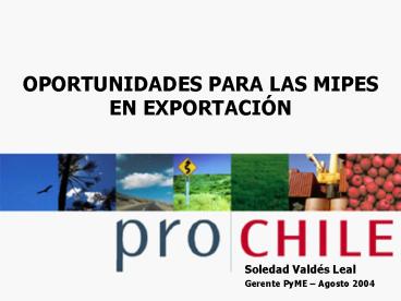 OPORTUNIDADES PARA LAS MIPES EN EXPORTACIN