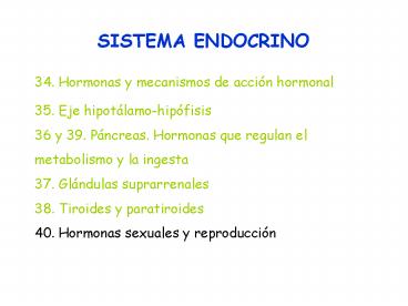 Diapositiva 1