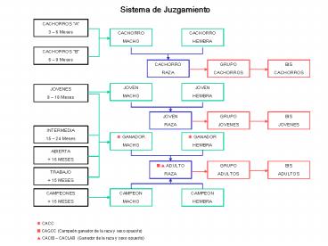Presentacin de PowerPoint