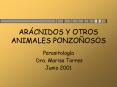 ARCNIDOS Y OTROS ANIMALES PONZOOSOS PowerPoint PPT Presentation
