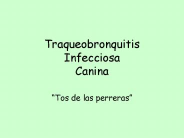 Traqueobronquitis Infecciosa Canina