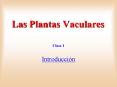 Las Plantas Vaculares PowerPoint PPT Presentation