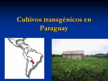 Cultivos transg