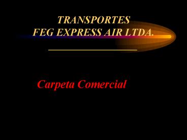 TRANSPORTES FEG EXPRESS AIR LTDA' _________________
