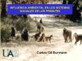 INFLUENCIA AMBIENTAL EN LOS SISTEMAS SOCIALES DE LOS PRIMATES PowerPoint PPT Presentation