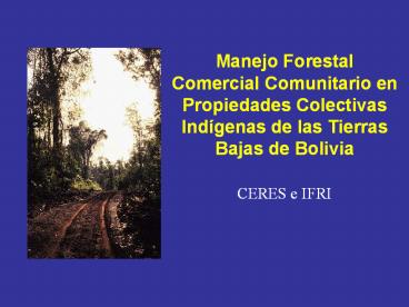 Manejo Forestal