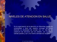 NIVELES DE ATENCION EN SALUD