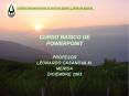 CURSO BASICO DE POWERPOINT PowerPoint PPT Presentation