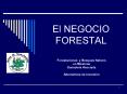 El NEGOCIO FORESTAL PowerPoint PPT Presentation