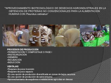 SRS ESPECIFICACION DE REQUERIMIENTOS DEL SOFTWARE