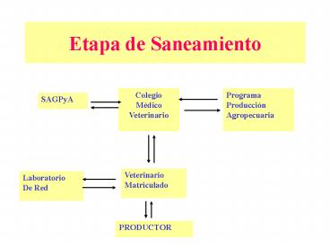 Etapa de Saneamiento