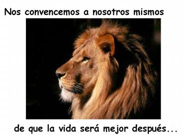 Presentacin de PowerPoint