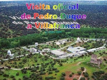 Visita oficial