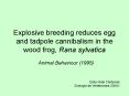 Explosive breeding reduces egg and tadpole cannibalism in the wood frog, Rana sylvatica PowerPoint PPT Presentation