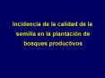 Incidencia de la calidad de la semilla en la plantacin de bosques productivos PowerPoint PPT Presentation