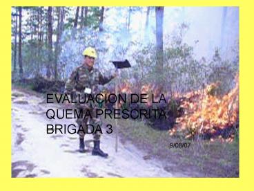 EVALUACION DE LA QUEMA PRESCRITA BRIGADA 3