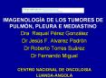 IMAGENOLOG PowerPoint PPT Presentation
