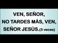 VEN, SEOR, NO TARDES MS, VEN, SEOR JESS'3 veces PowerPoint PPT Presentation
