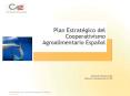 Estructura funcional de CCAE PowerPoint PPT Presentation