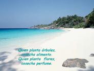 Diapositiva 1