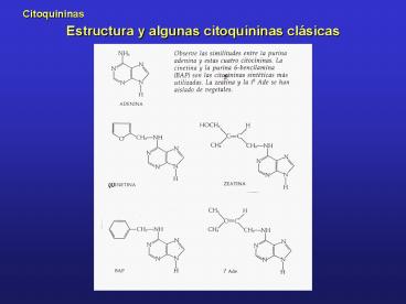 Estructura y algunas citoquininas clsicas