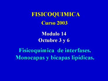 Presentacin de PowerPoint